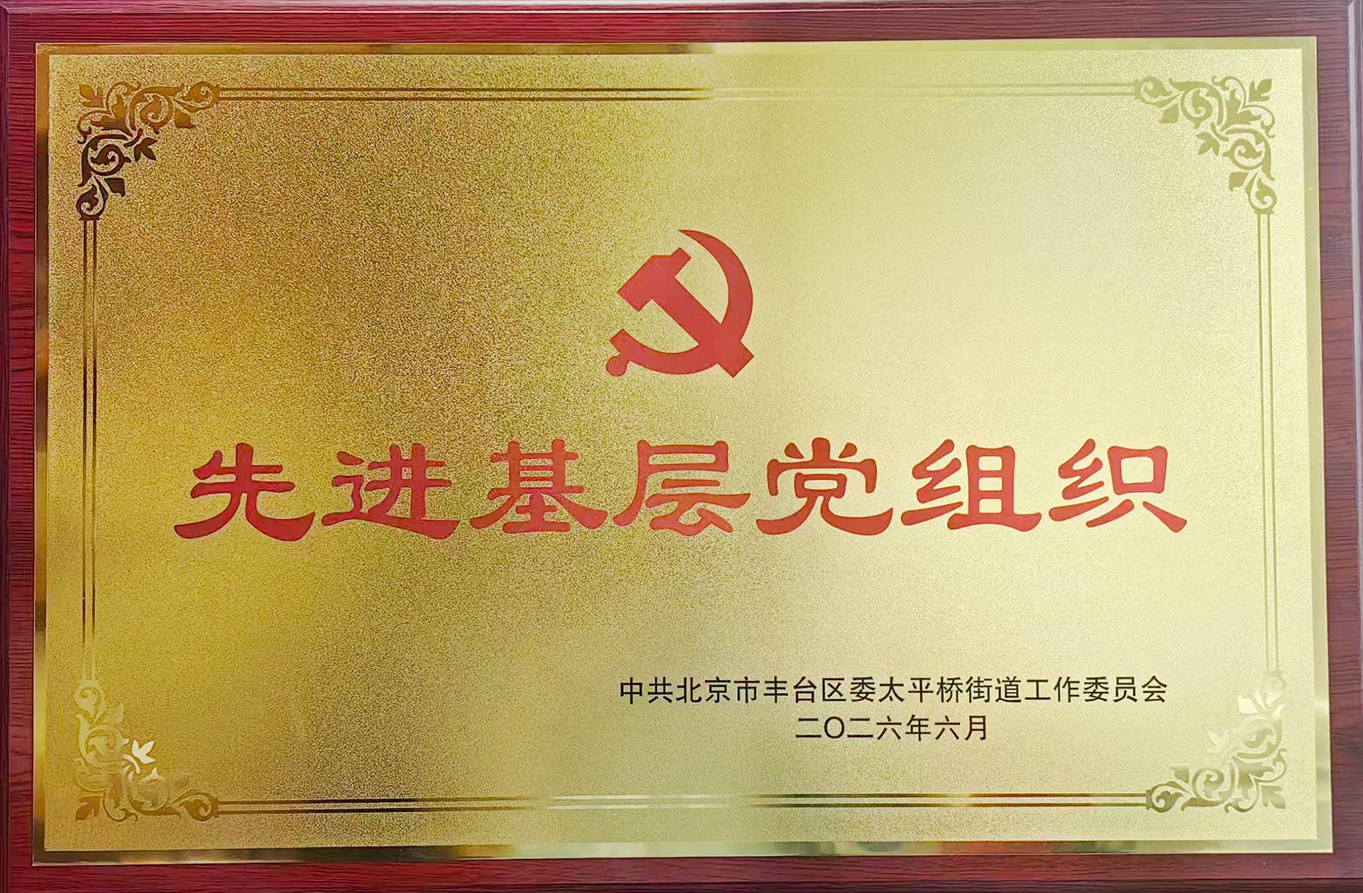 喜报｜党建引领践初心 载誉前行庆华诞——乐鱼在线登录官网-乐鱼（中国）招标集团党支部获评辖区“优秀基层党组织”